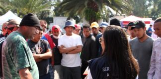 Low-skilled immigrants? EU and US evidence calls for a nuanced policy