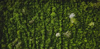 Our Eco-Spirituality