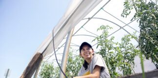 Every spirituality has a story