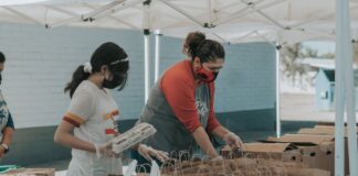 Develop Leadership Skills through Volunteering