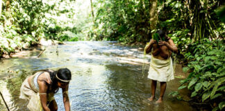 Indigenous people in the Amazon