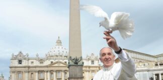 Stop the violence in Ukraine