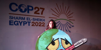 COP27: insufficient steps in the fight against the climate crisis