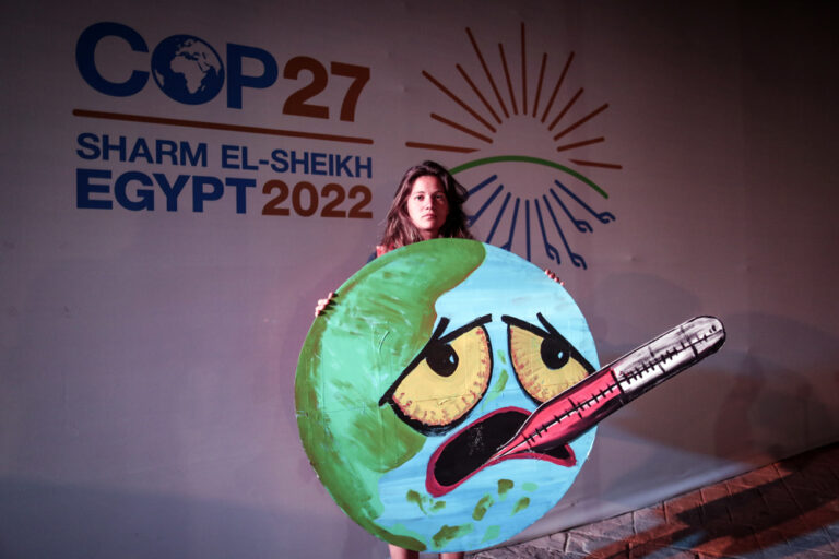 COP27: insufficient steps in the fight against the climate crisis