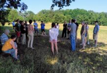 Ignatian Social Thinking week on the 10th anniversary of Laudato Si’