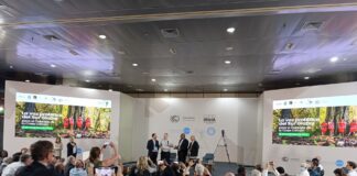 A brief assessment of COP30